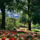 Wuppertal aus dem botanischen Garten