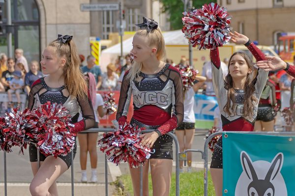 Wuppertal Greyhounds Cheerleader