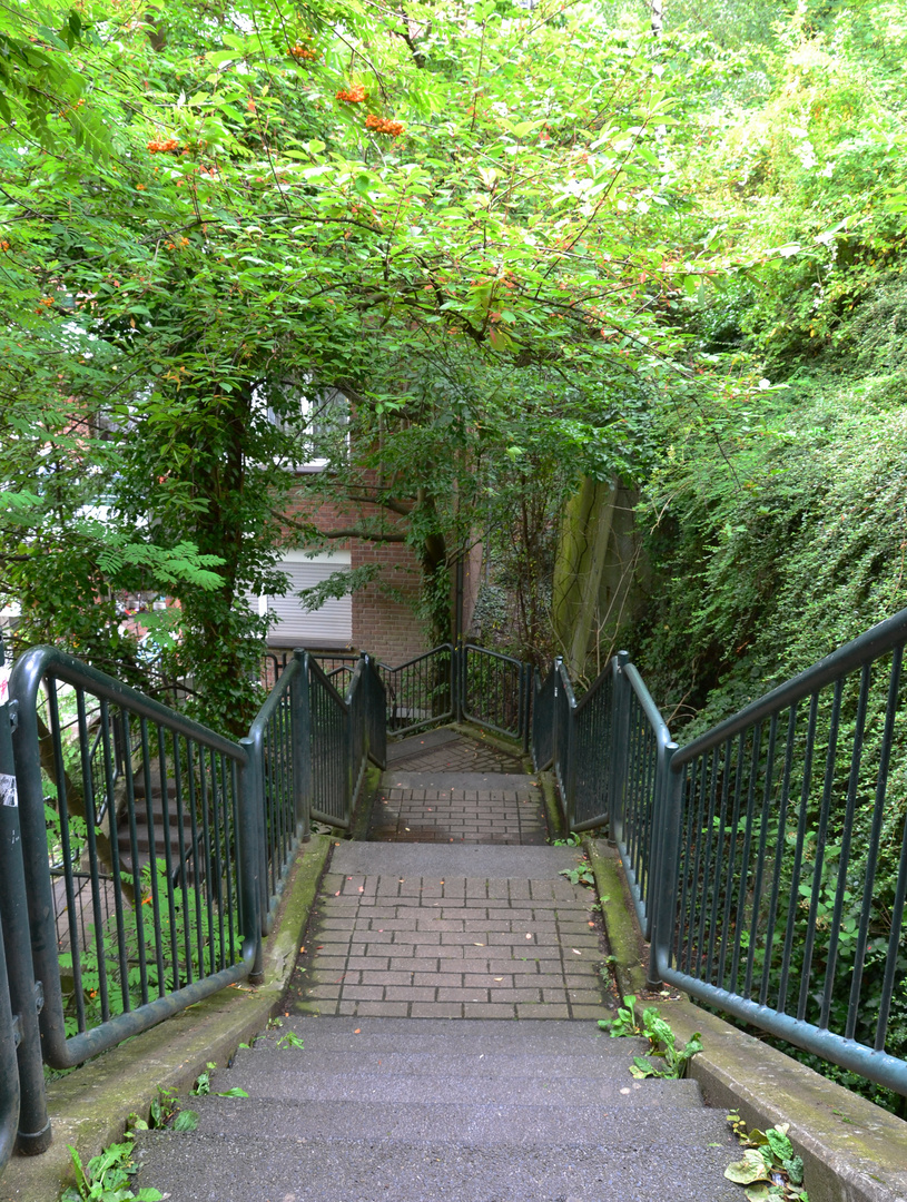 Wuppertal heißt Treppen