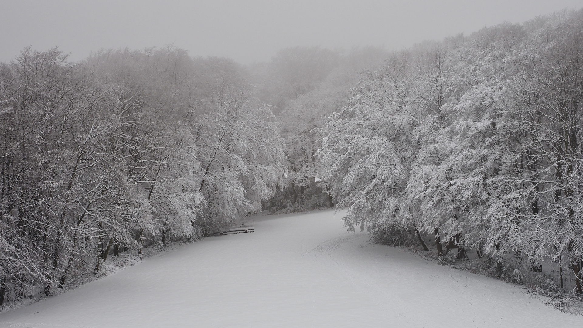 Wuppertal Winter I