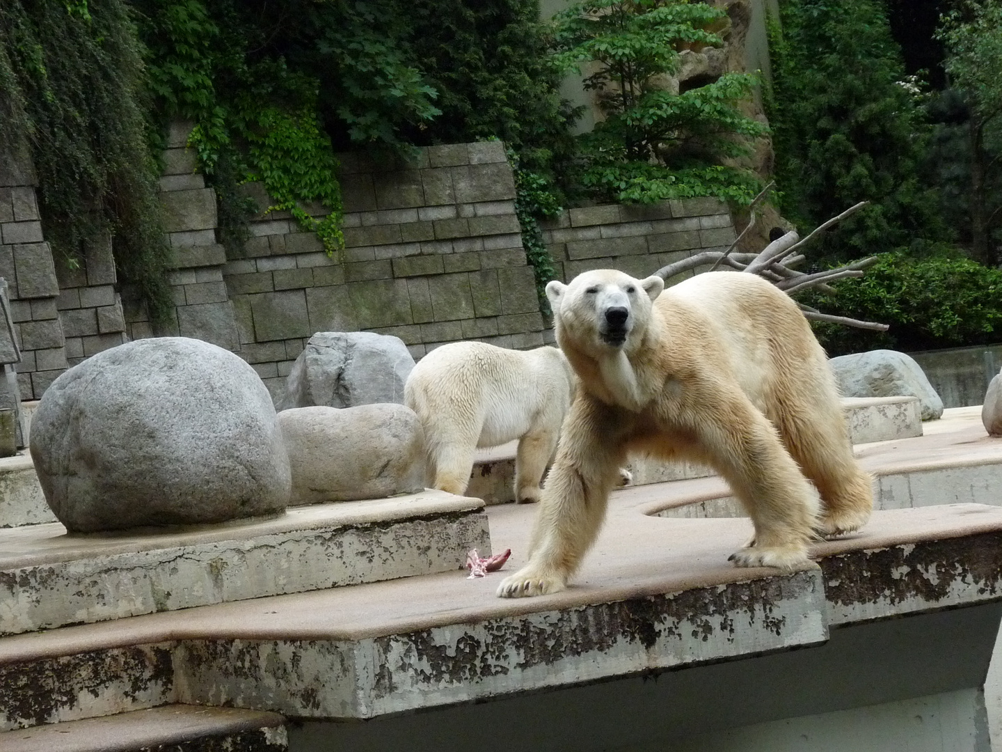 Wuppertal Zoo