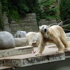 Wuppertal Zoo