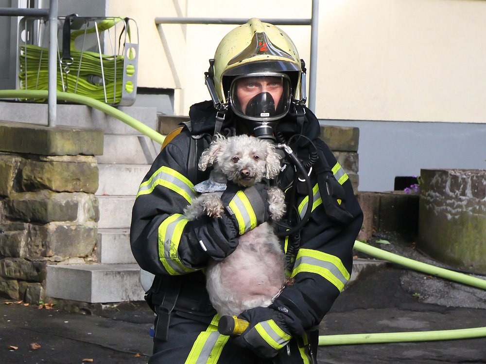 Wuppertaler Helden retten Hund aus Brandwohnung