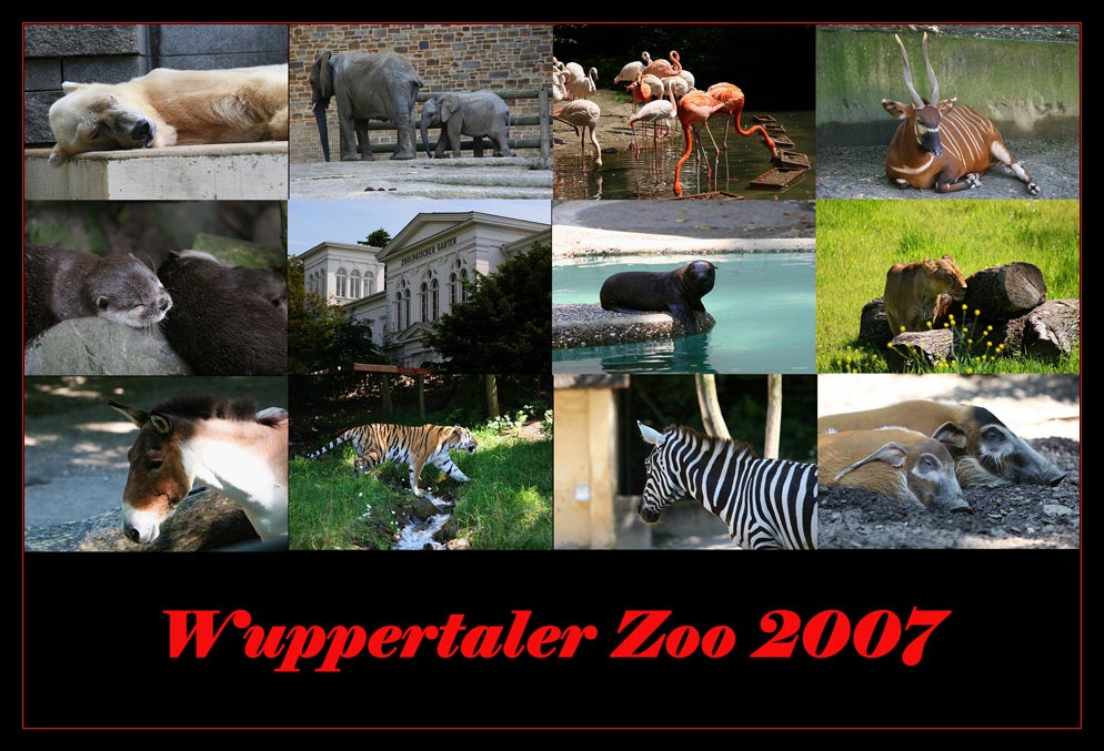 Wuppertaler Zoo 2007