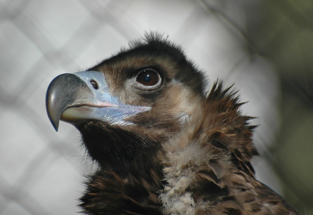 Wuppertaler Zoo