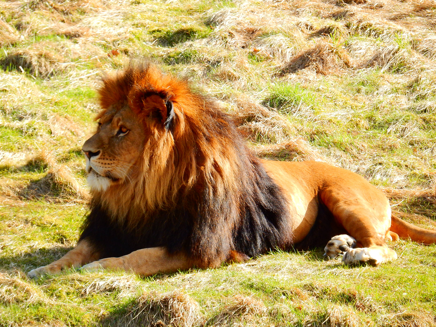 Wuppertaler Zoo