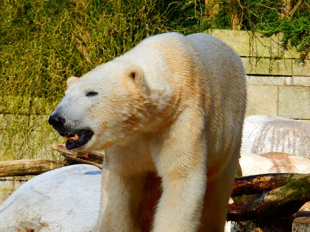 Wuppertaler Zoo