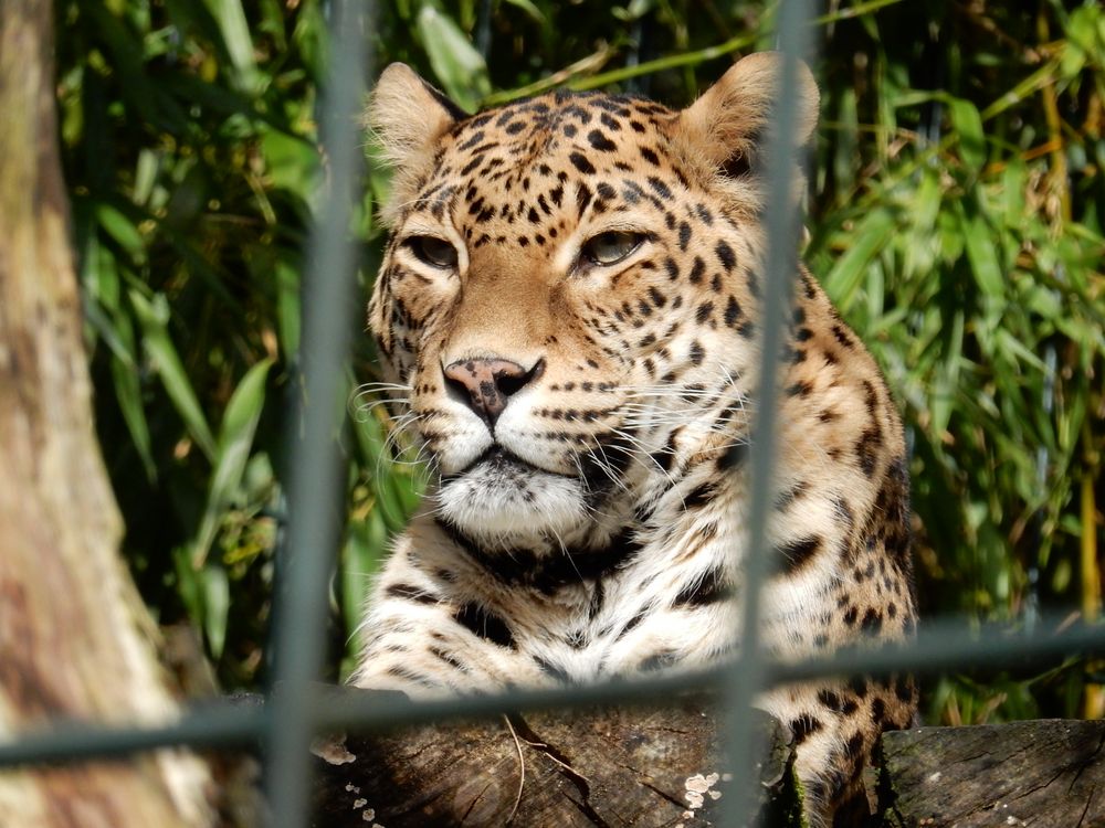 Wuppertaler Zoo