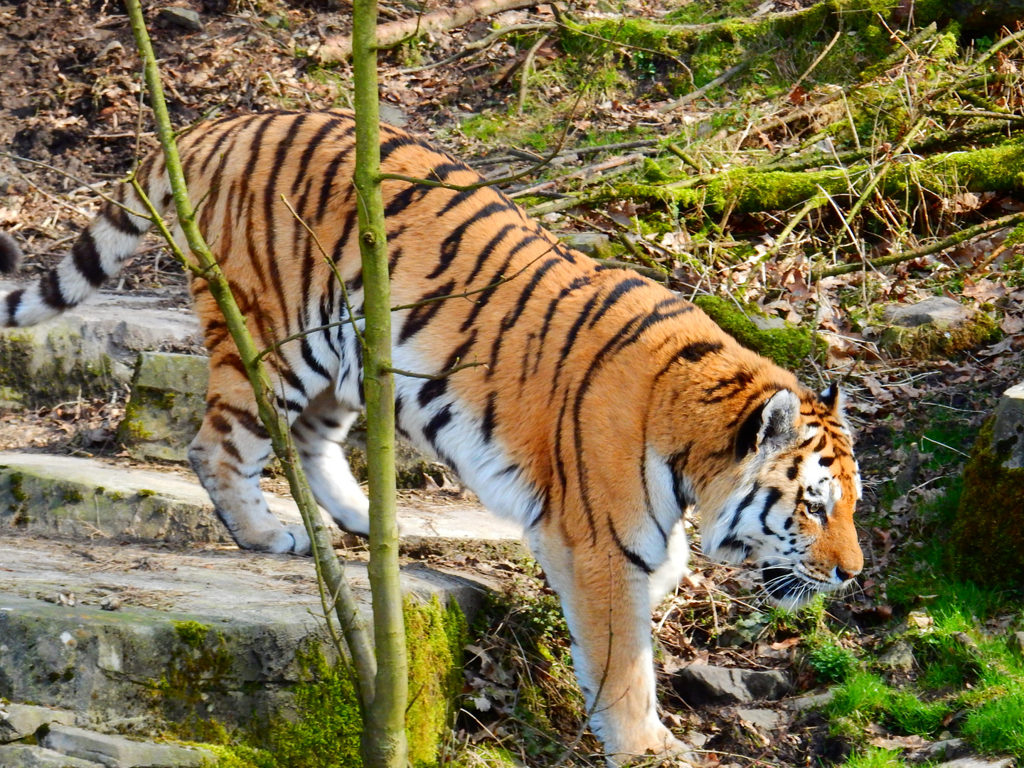 Wuppertaler Zoo