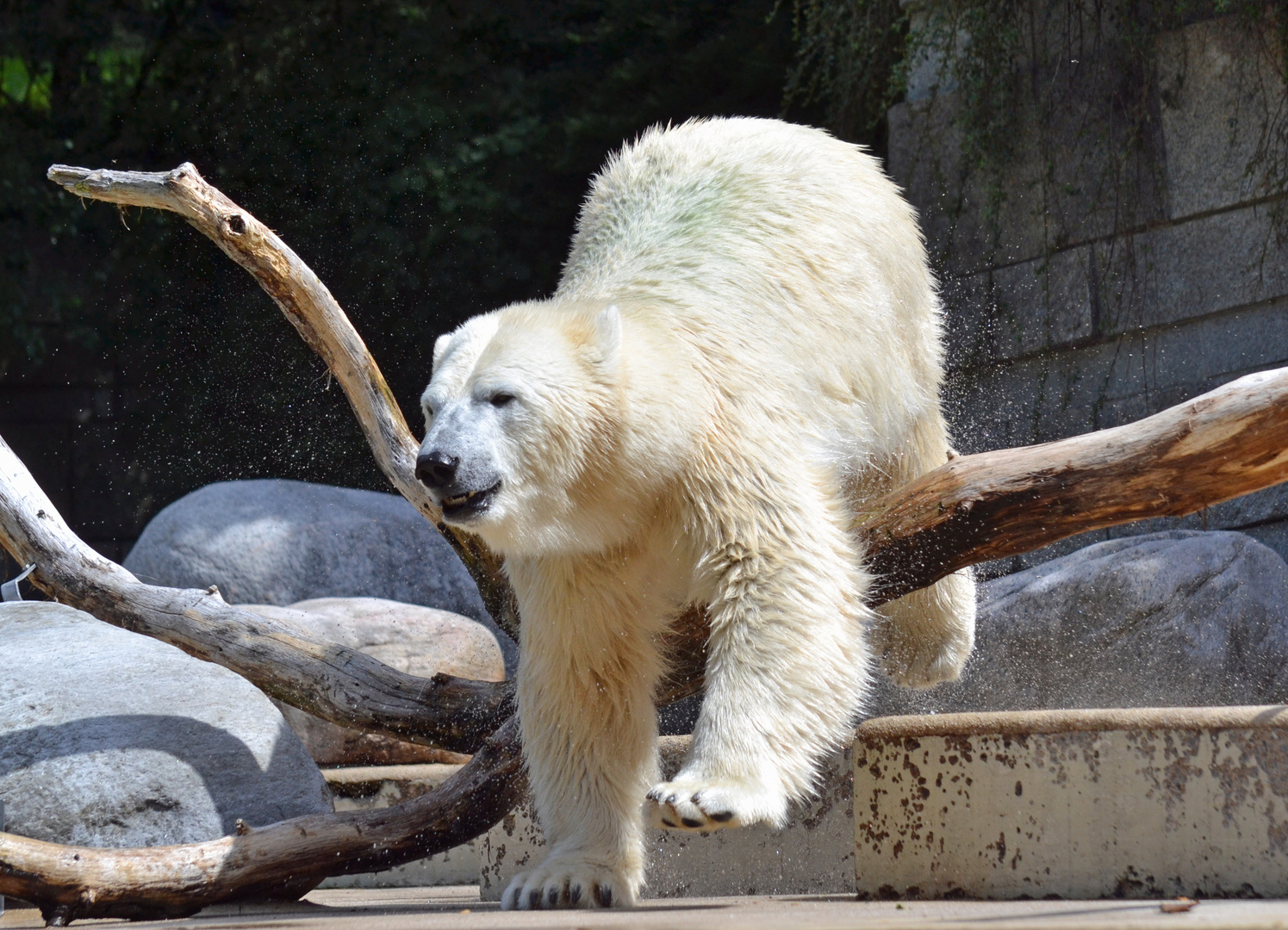 Wuppertaler Zoo