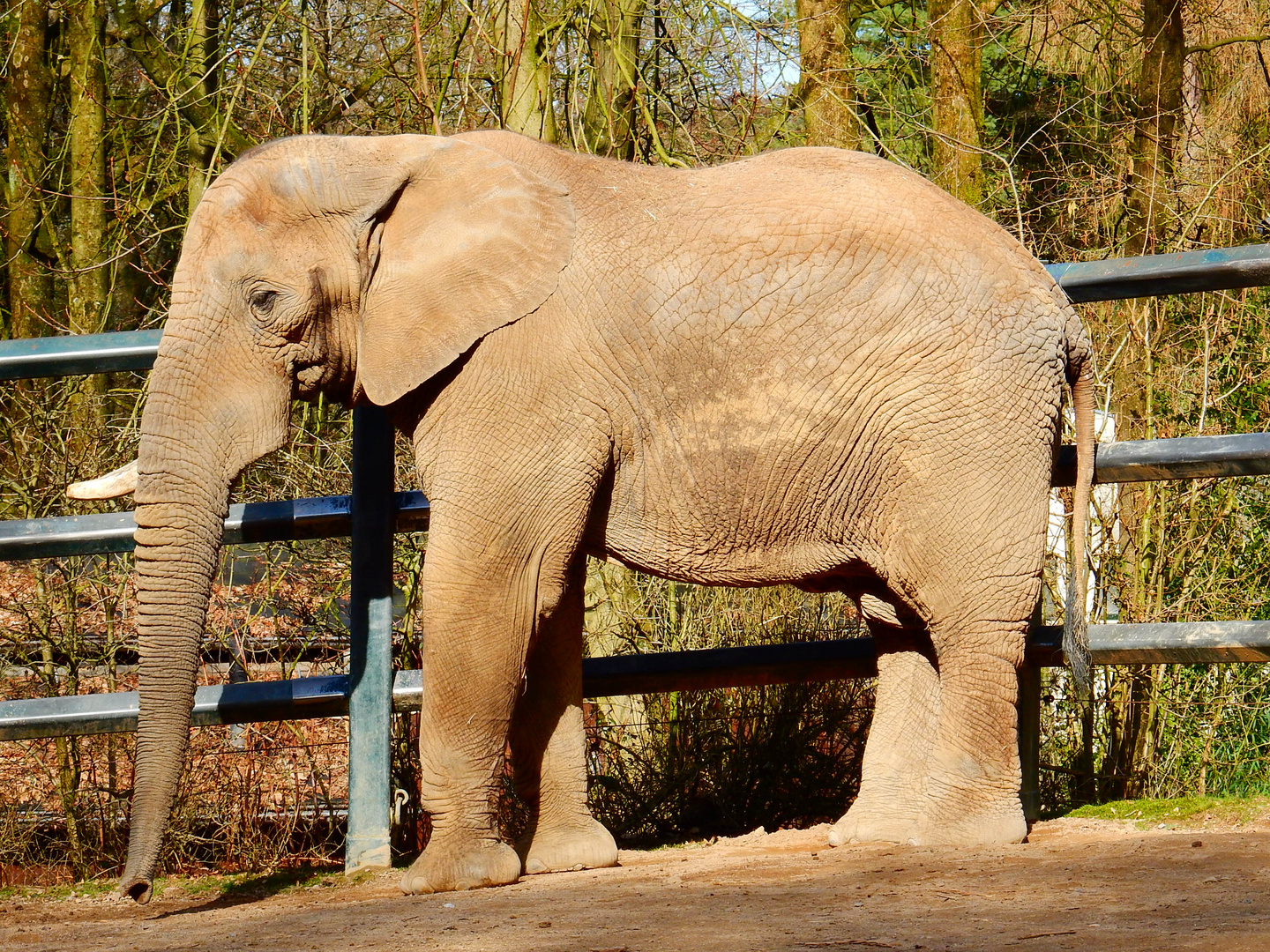 Wuppertaler Zoo