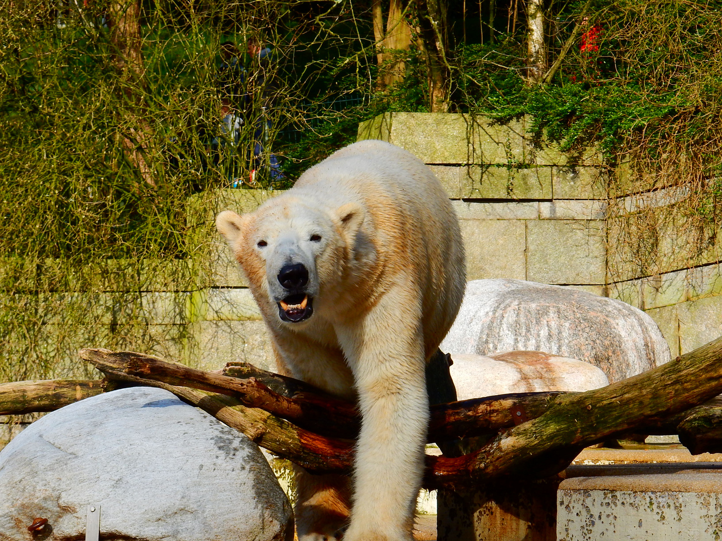 Wuppertaler Zoo