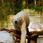 Wuppertaler Zoo