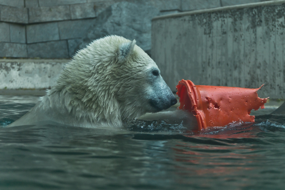 Wuppertaler Zoo_01