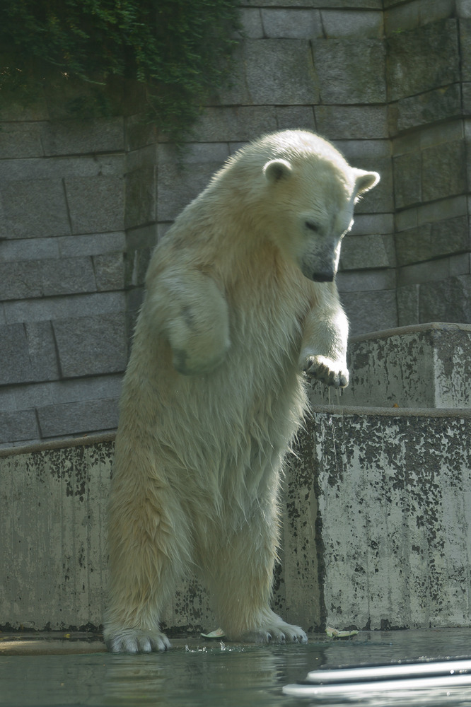 Wuppertaler Zoo_02