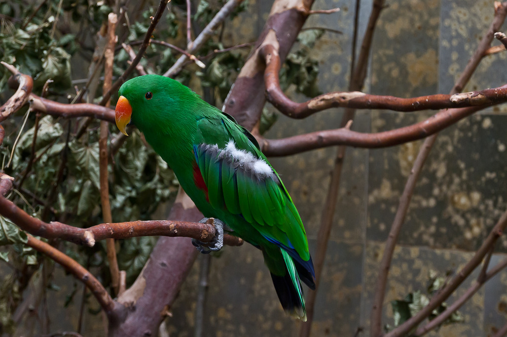 Wuppertaler Zoo_03