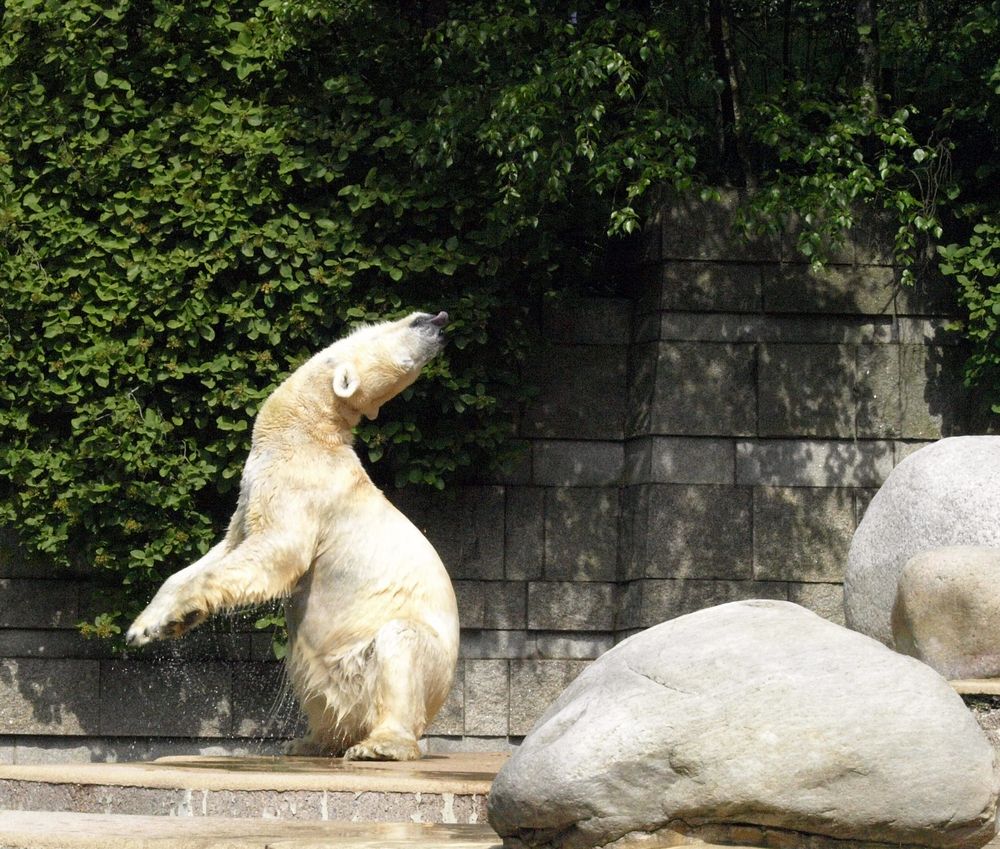 Wuppertaler Zoologischer Garten #15