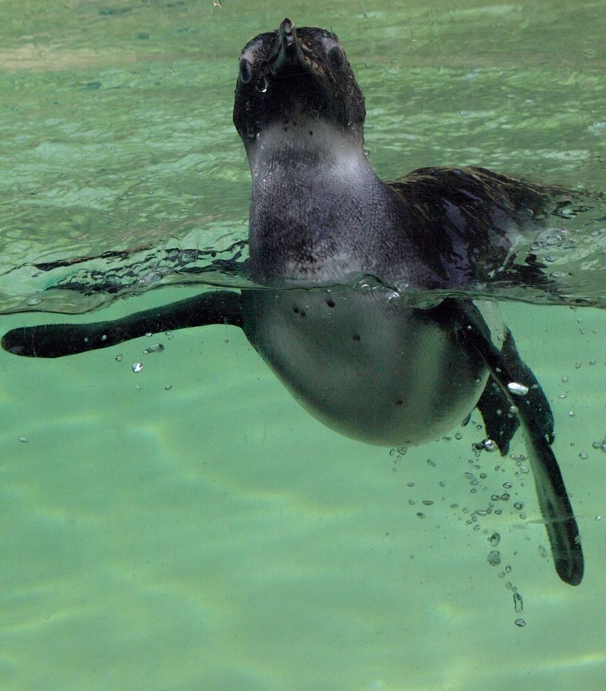 Wuppertaler Zoologischer Garten #18