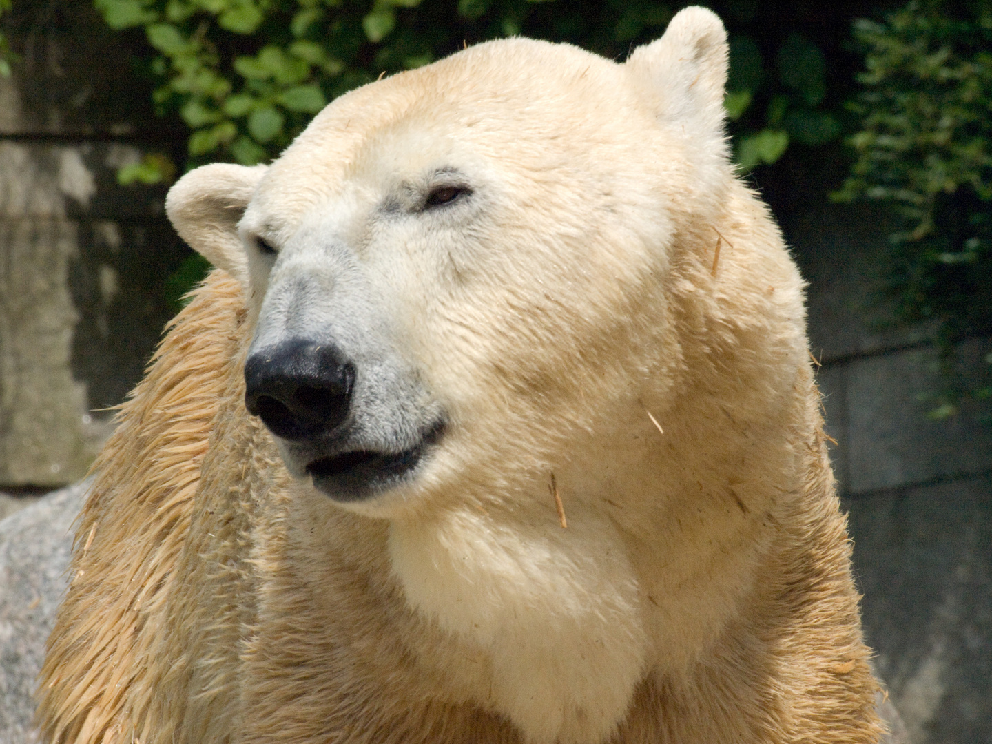 Wuppertaler Zoologischer Garten #2