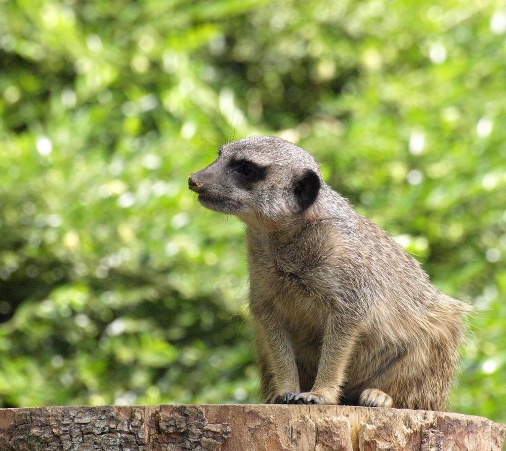 Wuppertaler Zoologischer Garten #20