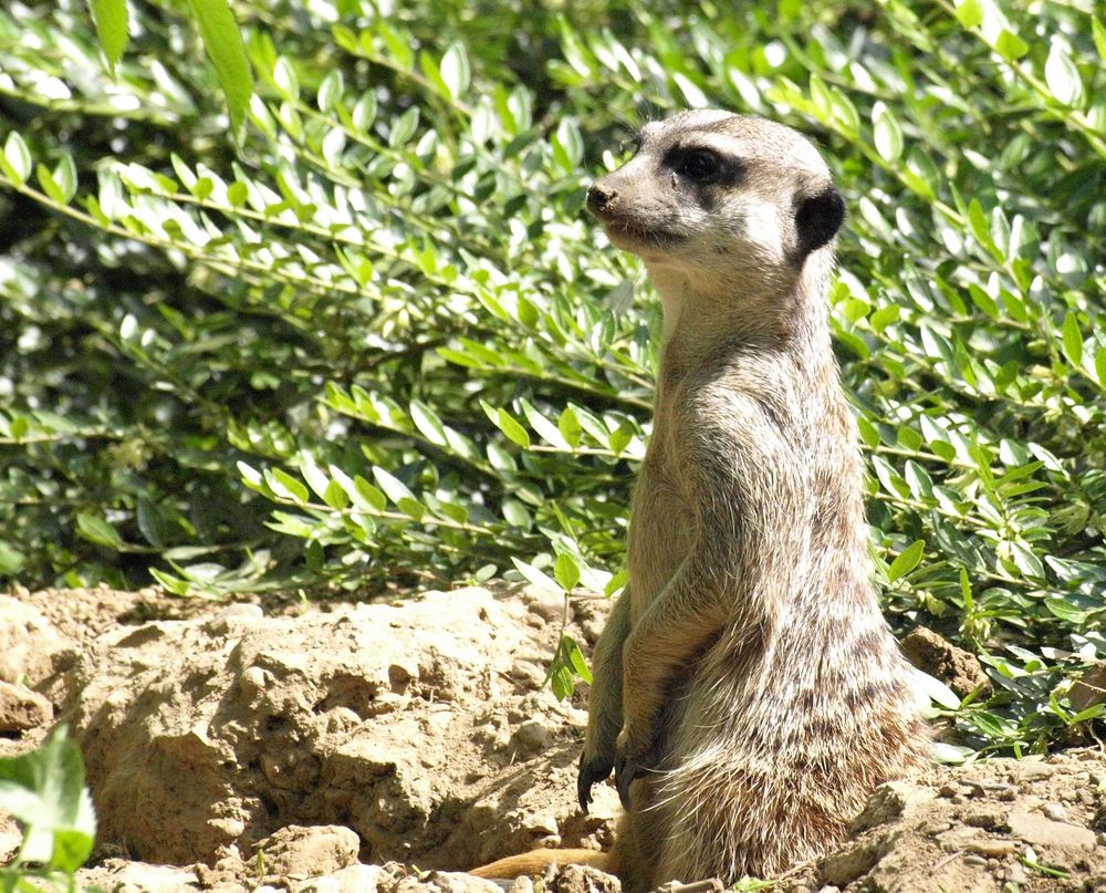 Wuppertaler Zoologischer Garten #22