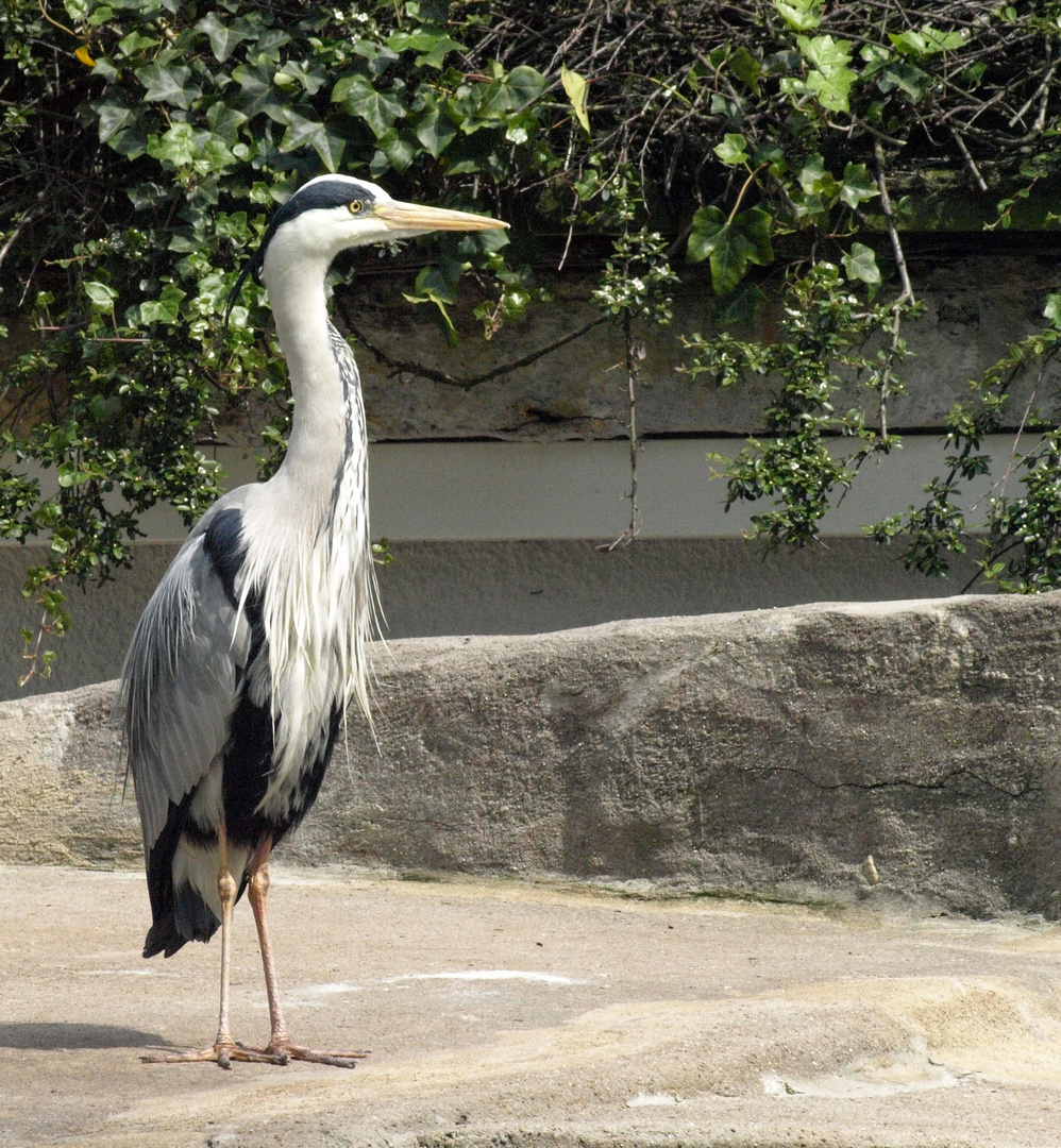 Wuppertaler Zoologischer Garten #7