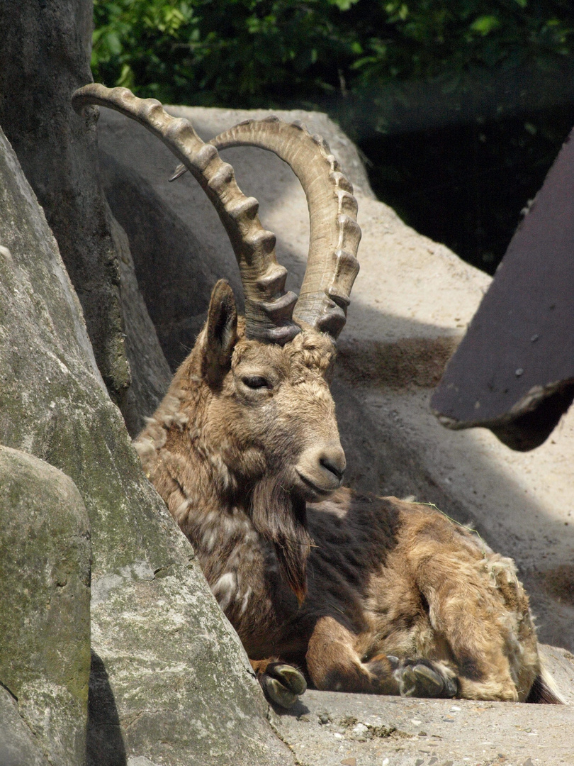 Wuppertaler Zoologischer Garten #9