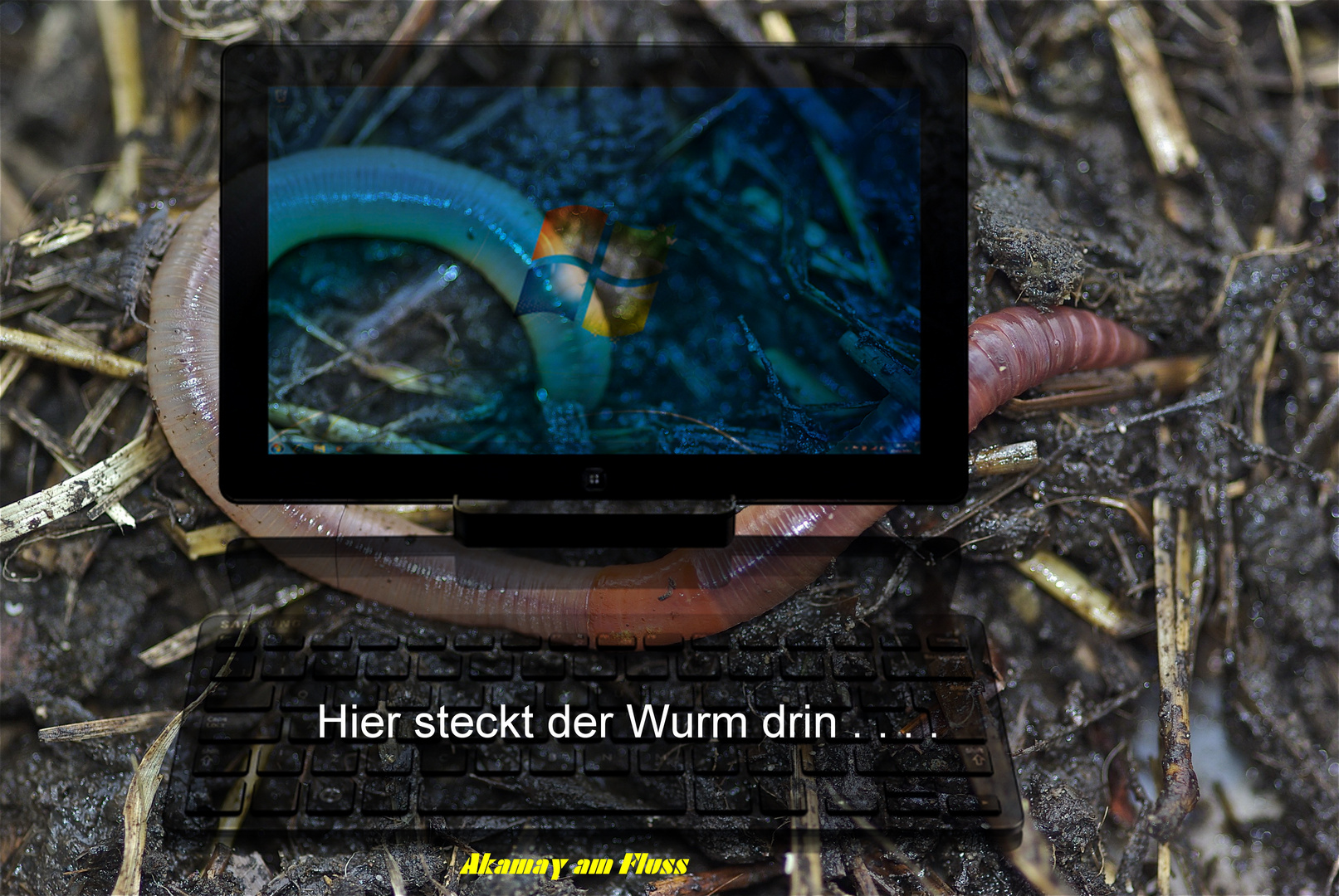 Wurm im PC