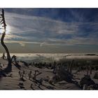 Wurmberg / Harz " der Blick vom höchsten Berg in Niedersachsen "