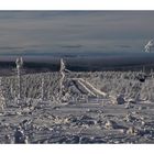 Wurmberg / Harz " der Gipfel, mit Blick zum Andresberg, und zum Torfhaus "