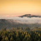 Wurmberg im Nebel