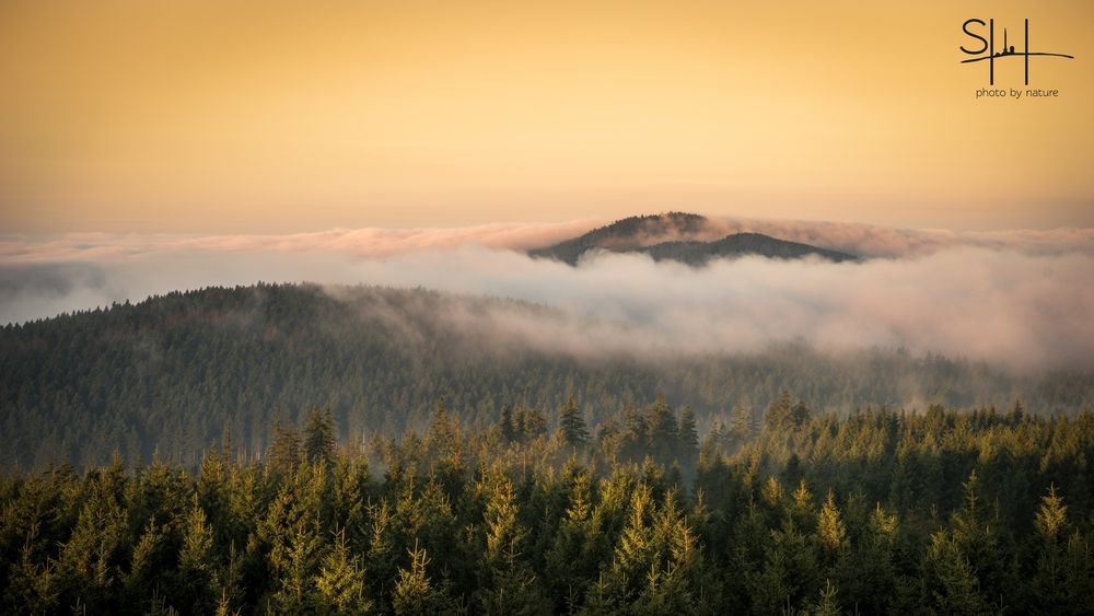 Wurmberg im Nebel