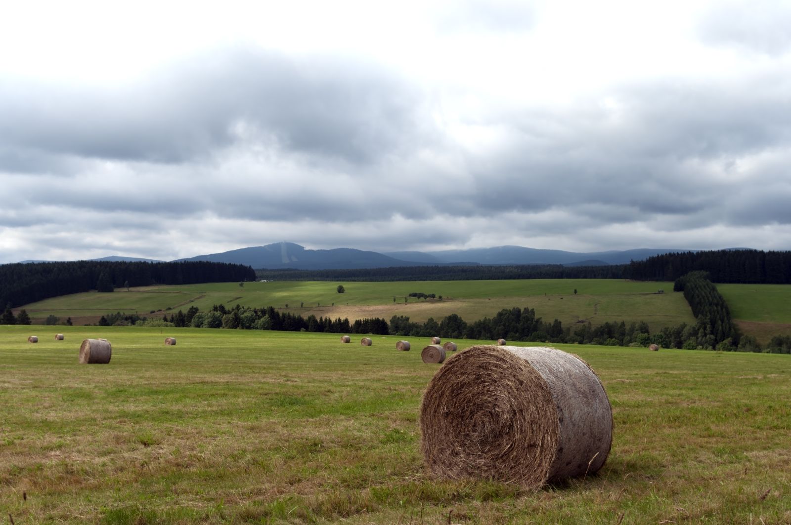 Wurmbergblick bei Tanne