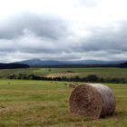 Wurmbergblick bei Tanne