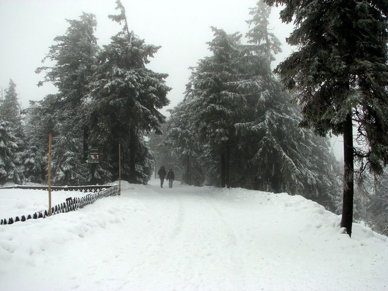 Wurmberg/Harz im Dunst