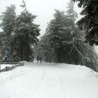 Wurmberg/Harz im Dunst