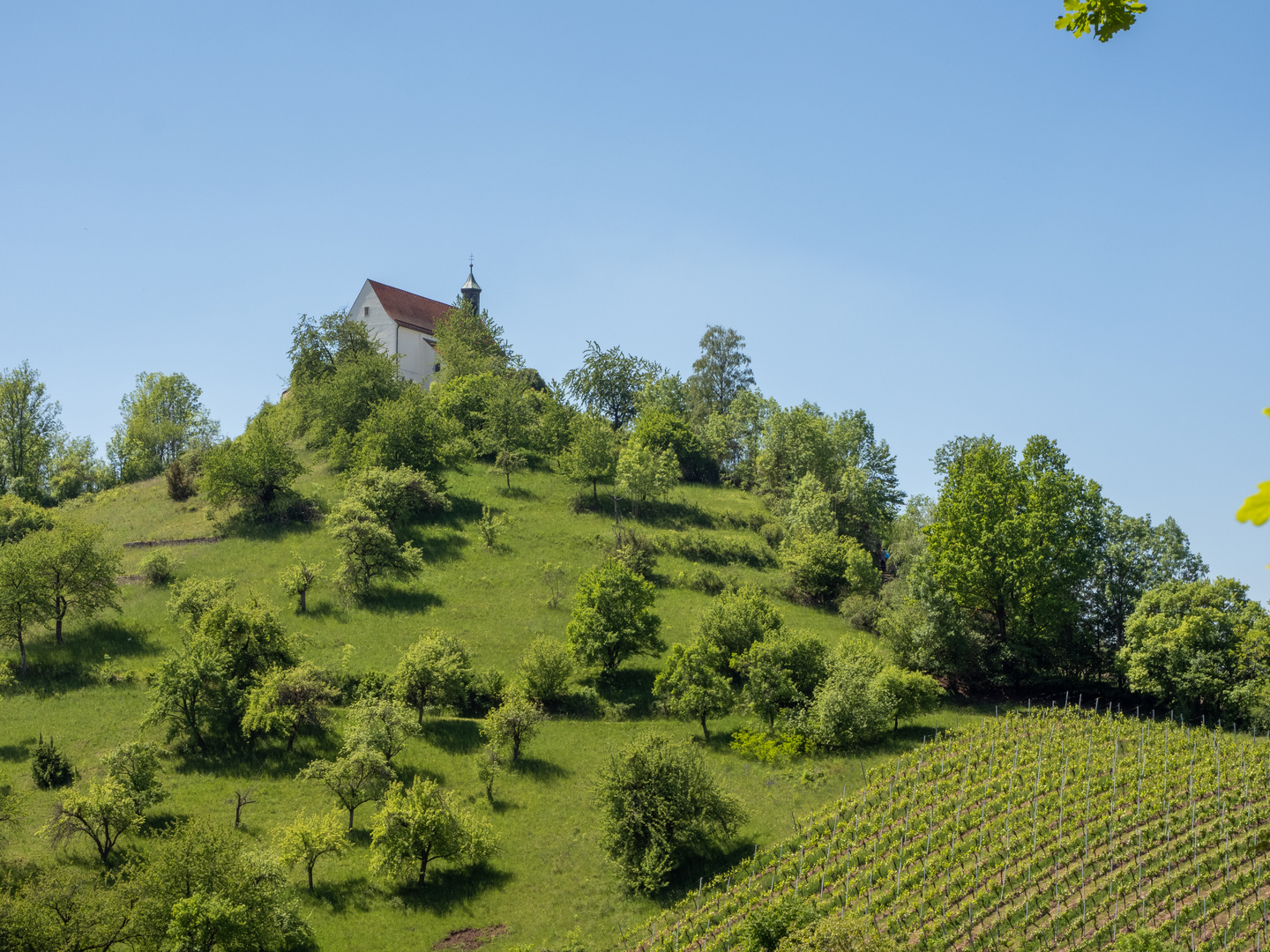 Wurmlinger Kapelle