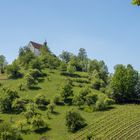 Wurmlinger Kapelle