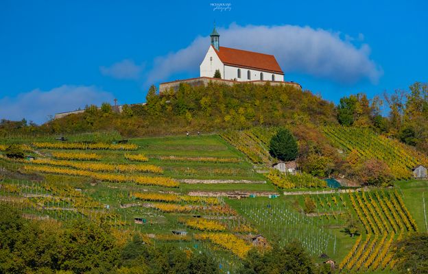 Wurmlinger Kapelle 