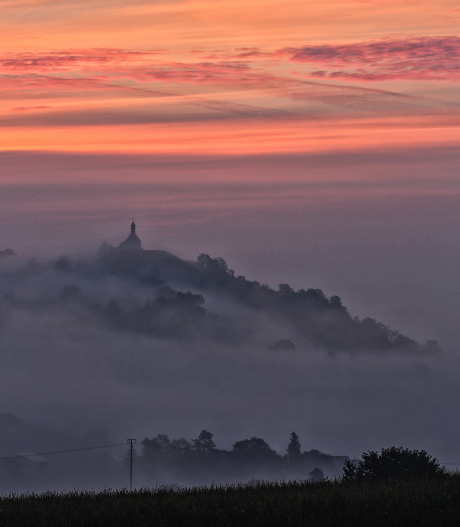 Wurmlinger Kapelle im Morgennebel