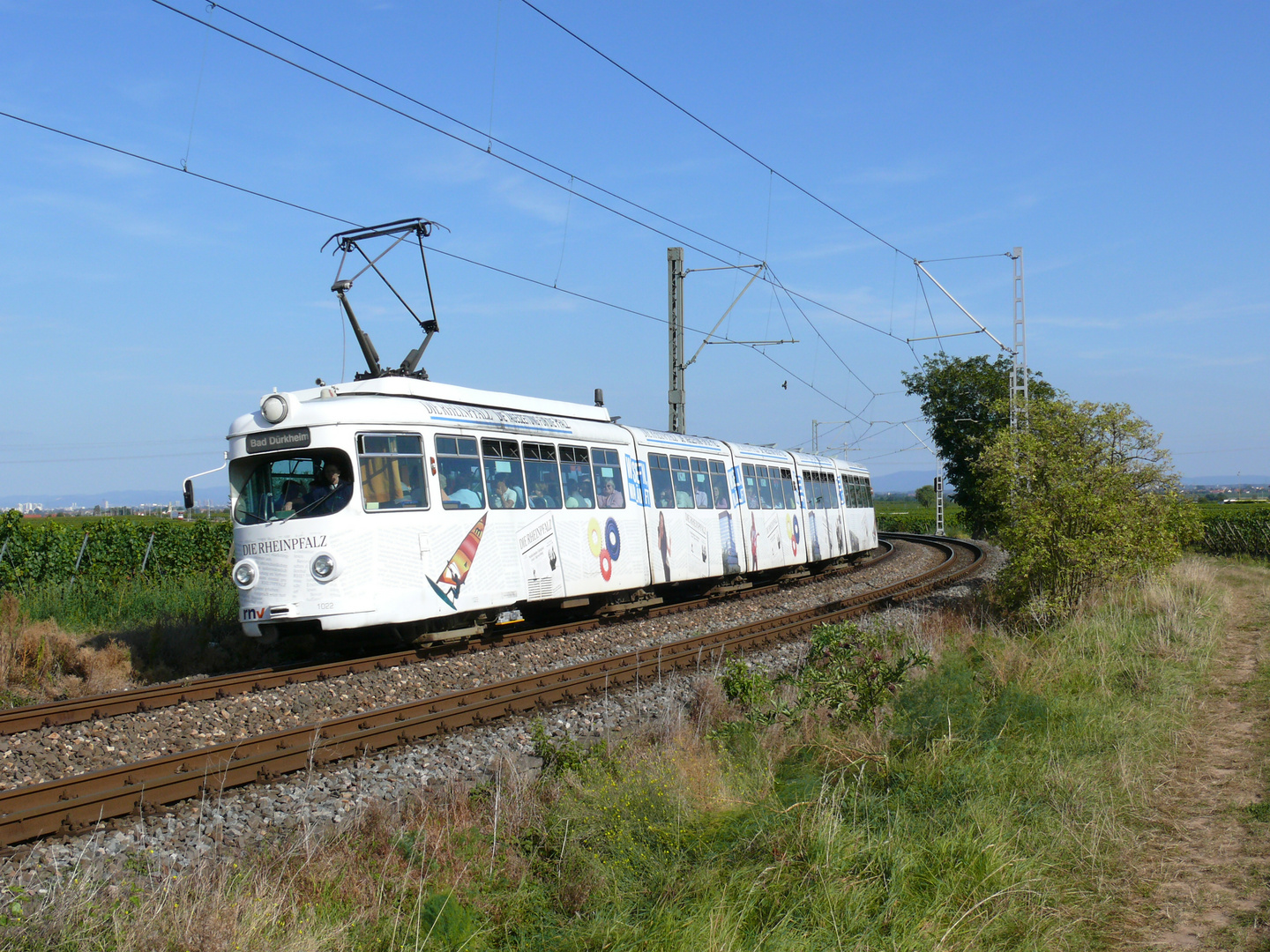 Wurstmarktverkehr 2007(3)