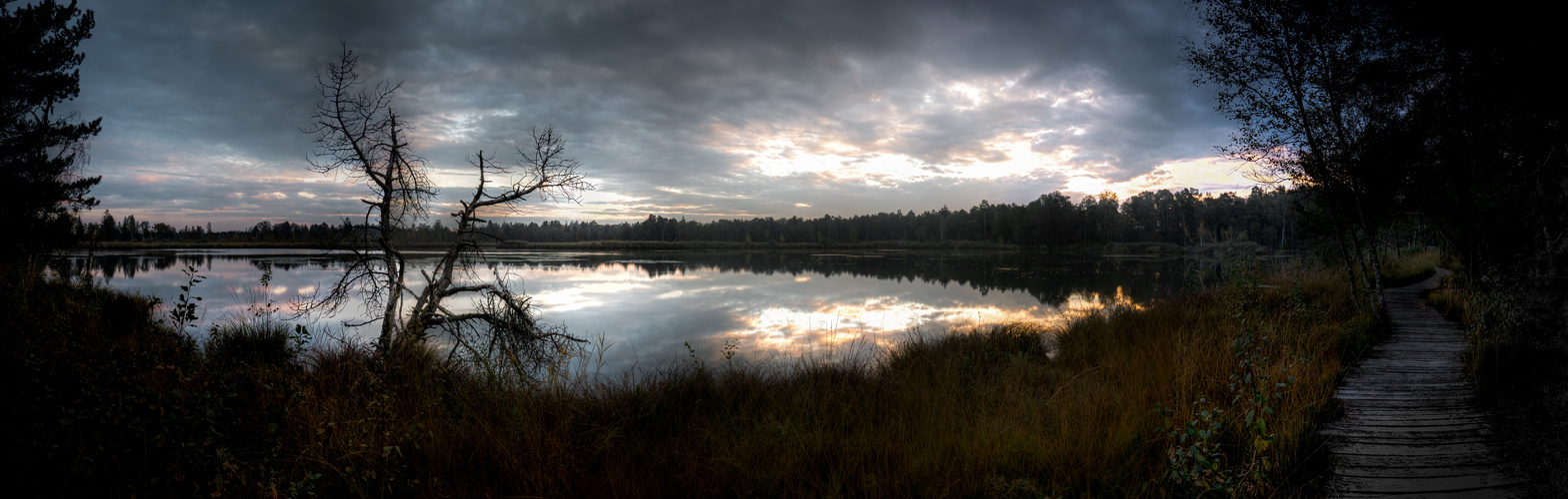 Wurzacher Ried am Morgen