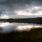 Wurzacher Ried am Morgen