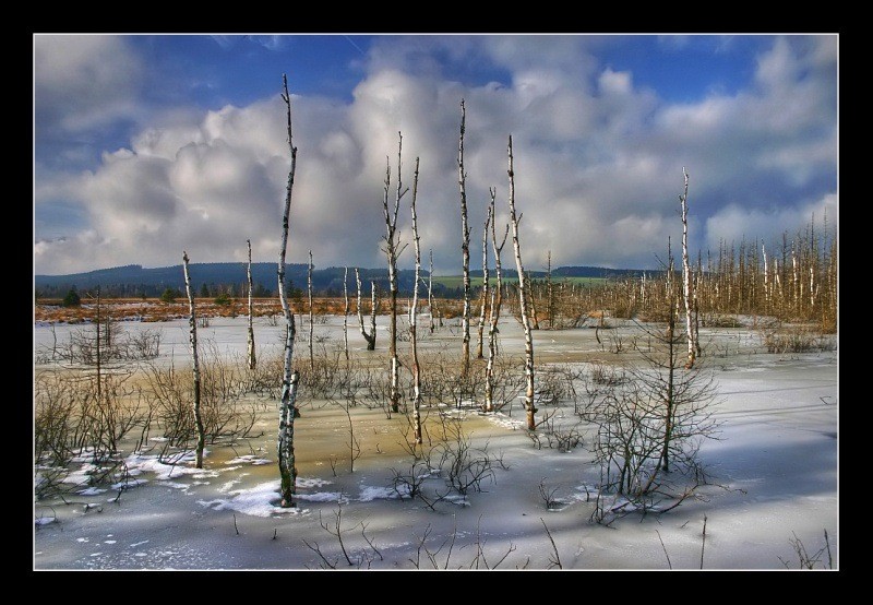 Wurzacher Ried im Winter