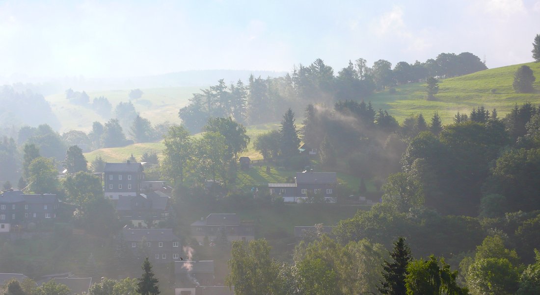 Wurzbach im Morgennebel