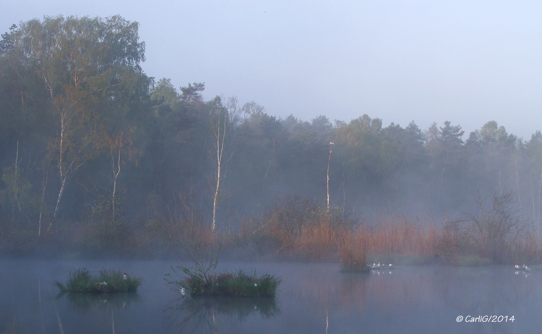 Wurzcher Riedsee…