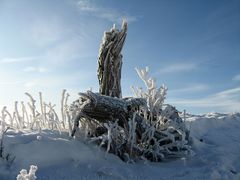 Harz