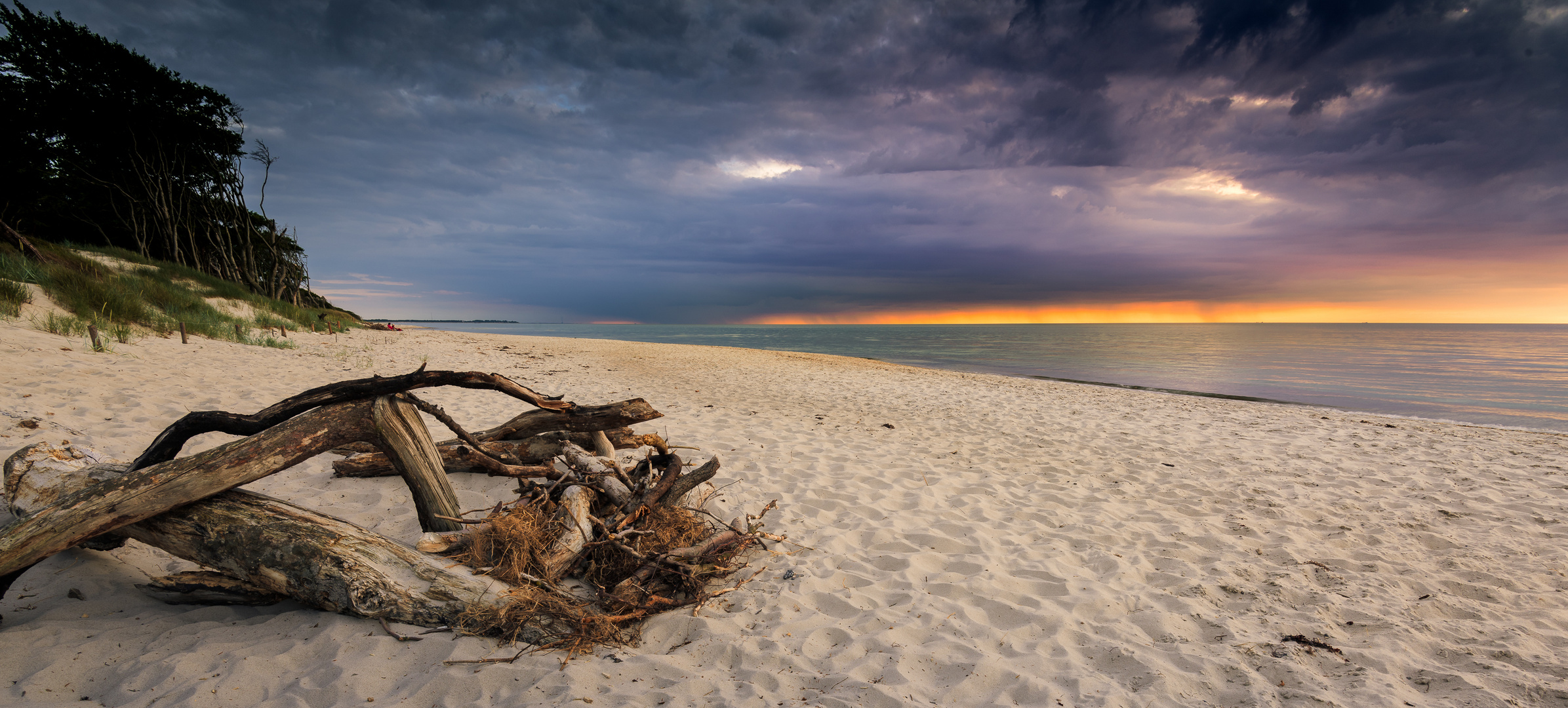 Wurzeln am Weststrand