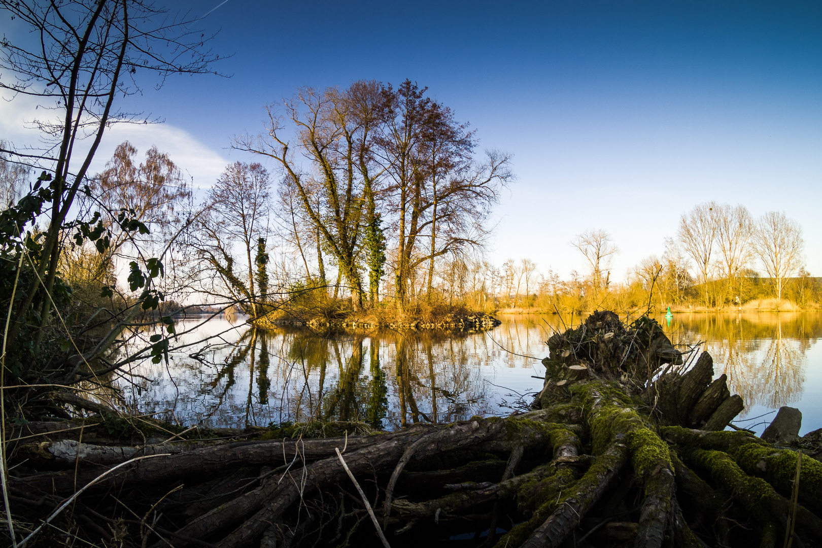 Wurzelspiegelinsel 1