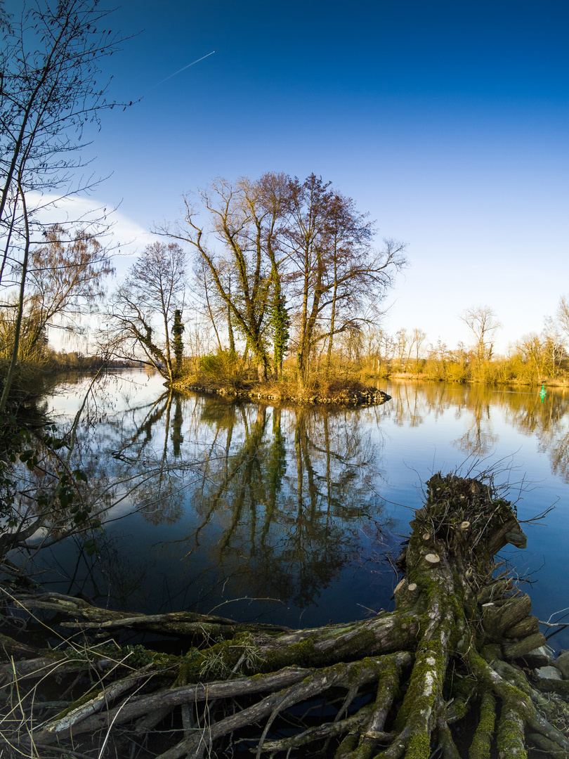 Wurzelspiegelinsel 2